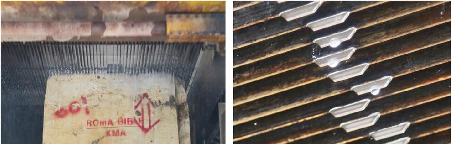 1733558964437036.jpg 10002.jpg